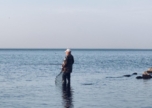 Seining in Sound